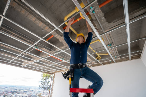 Best Emergency Plumbing Repair  in Sullivans Island, SC